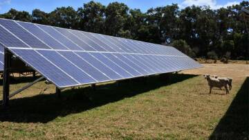 There are plans for a 5MW solar farm on the outskirts of Quirindi. Picture supplied
