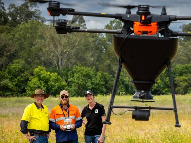 A drone was used to re-green a paddock between two pockets of bushland, to help koalas move safely.