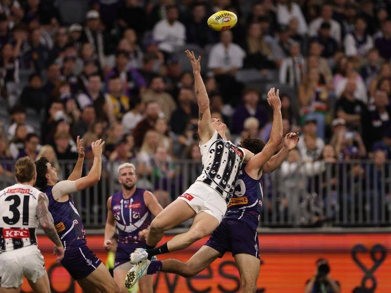 Magpie Brody Mihocek flying through the air in their dramatic draw against the Dockers. (Richard Wainwright/AAP PHOTOS)