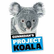 Gunnedah's koala population could face chlamydia crisis